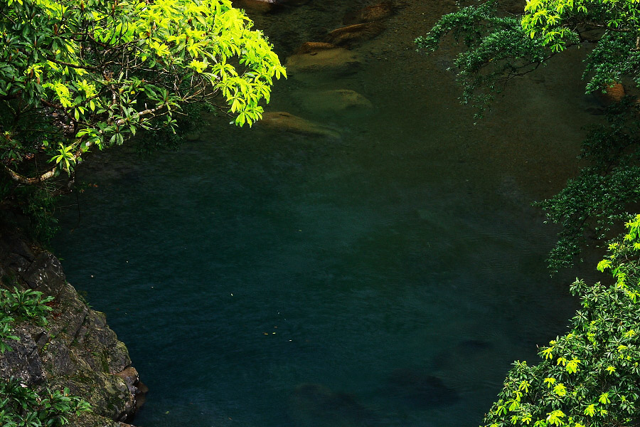 2009041803.jpg