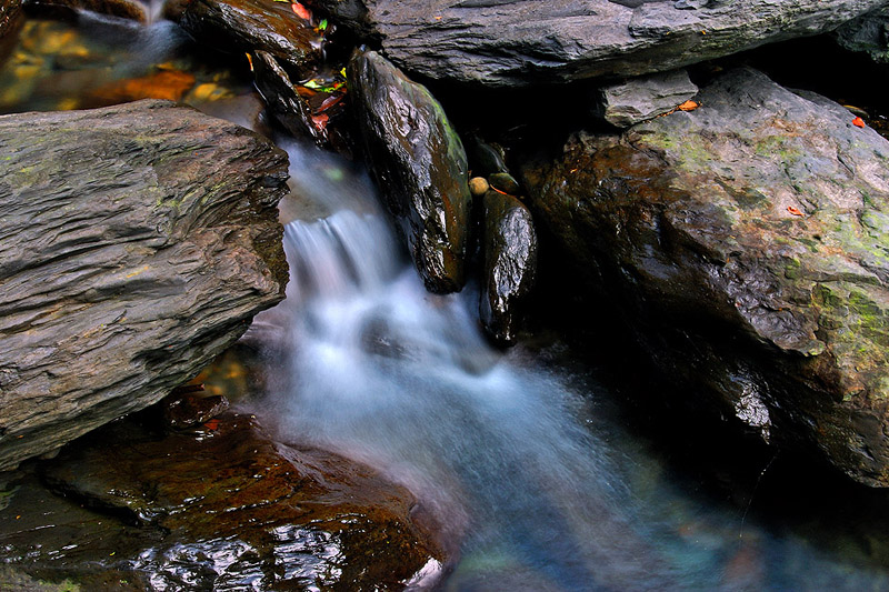 2009041819.jpg