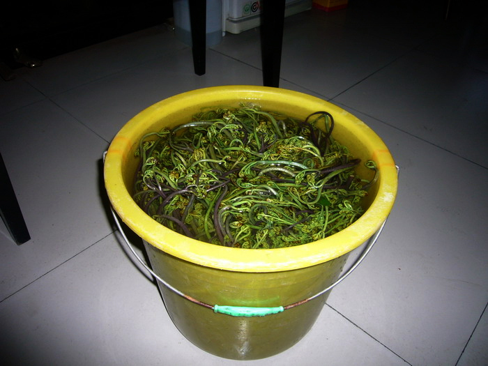 P1140850_缩小大小.JPG