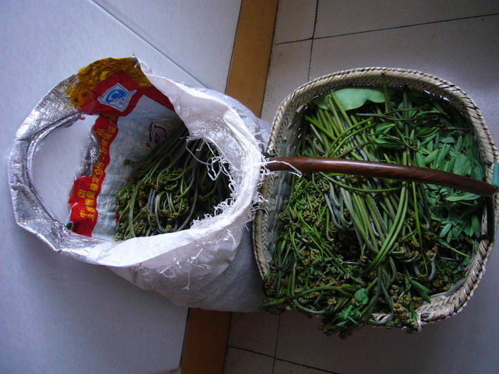 P1140844_缩小大小.JPG