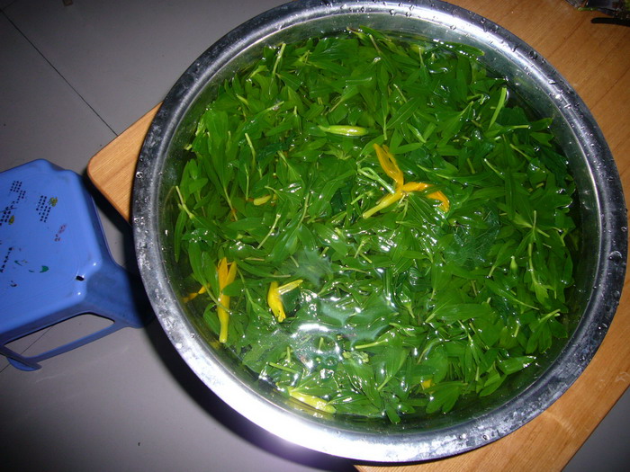 P1140852_缩小大小.JPG