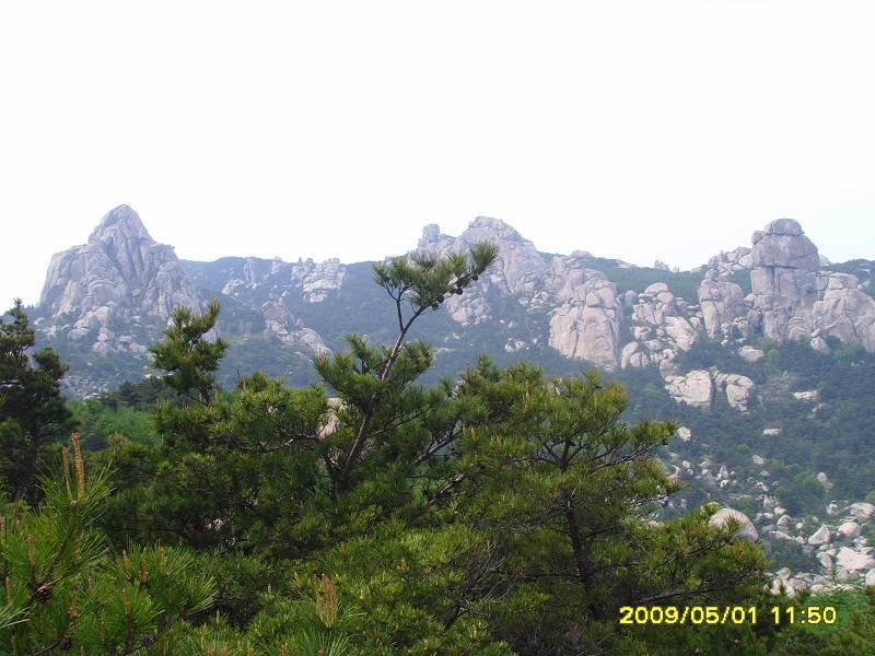 nEO_IMG_SSL20110.jpg