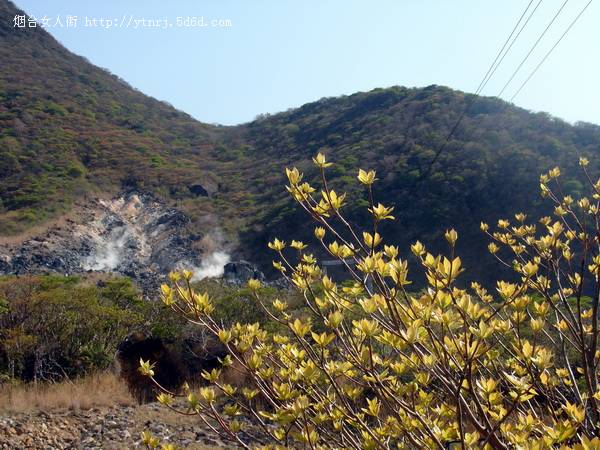 大涌谷火山_01.jpg