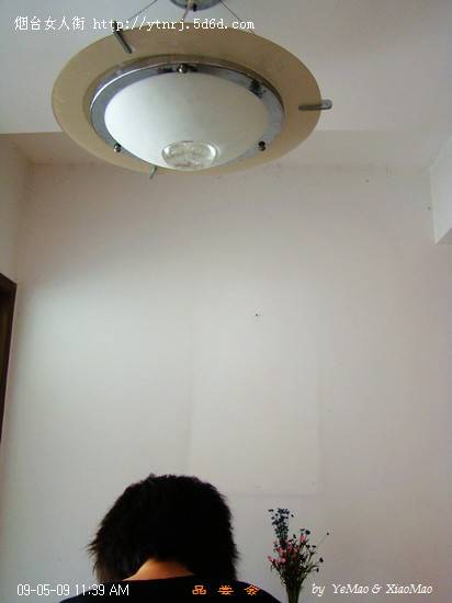 DSC03402.jpg