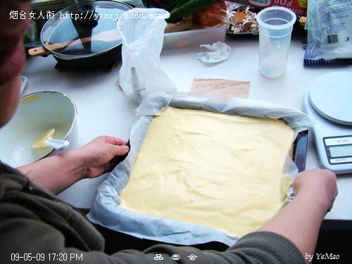 DSC03527.jpg