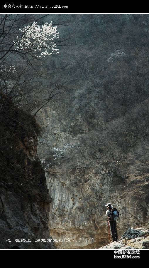 无意中我成了别人镜头中的风景