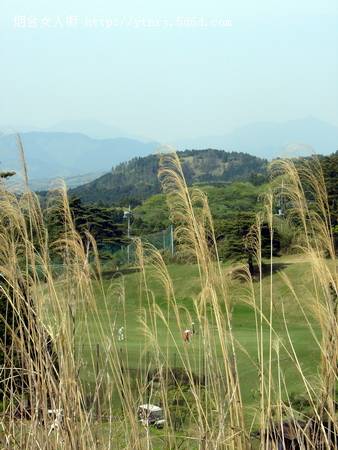 花，随风飘摇…….jpg