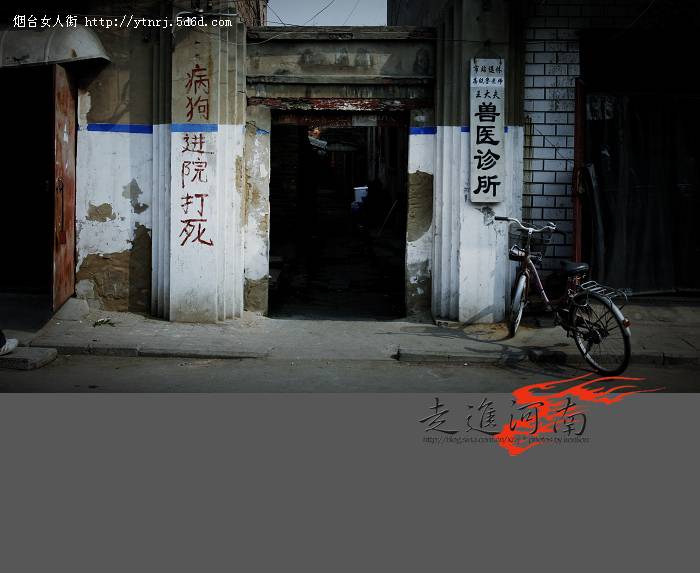 开封0331.jpg