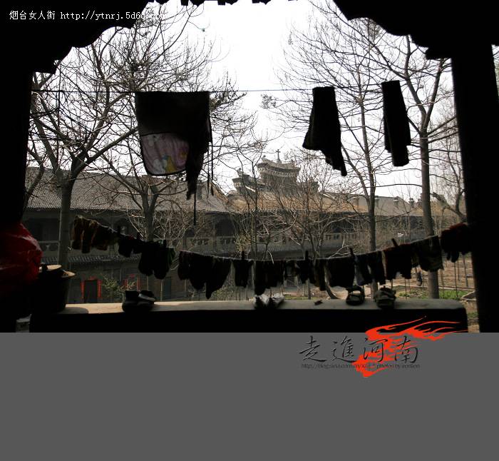 开封0570.jpg