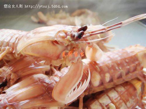 爬虾.jpg