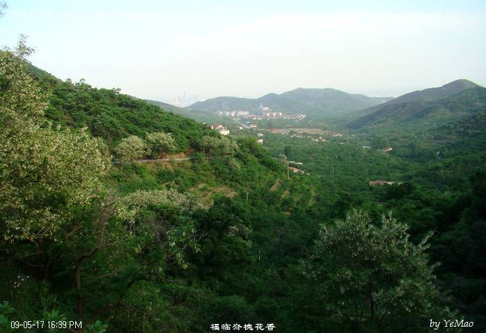 DSC03838.jpg