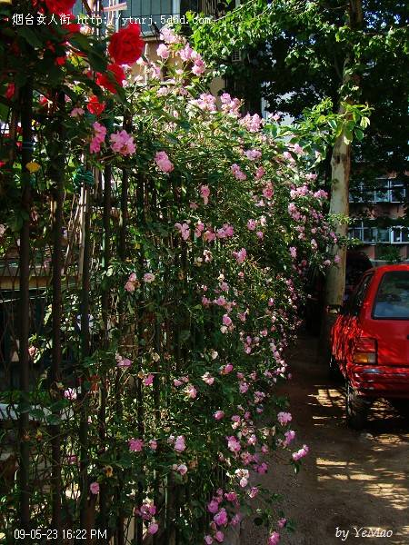 DSC04164.jpg