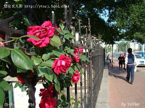 DSC04159.jpg