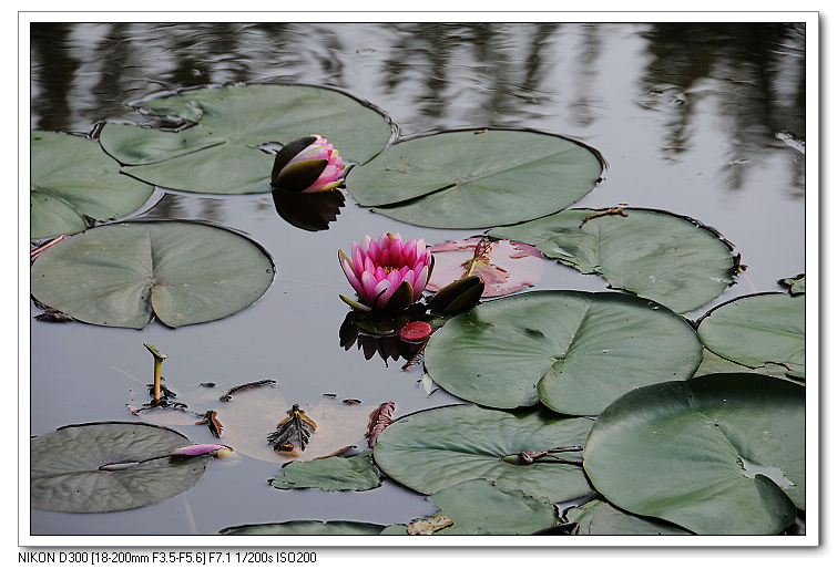 nEO_IMG_照片20090606 062.jpg