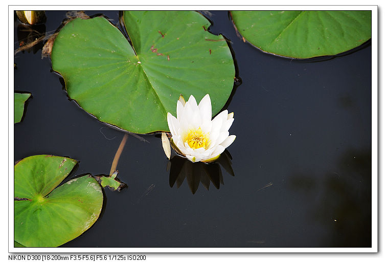 nEO_IMG_照片20090606 059.jpg