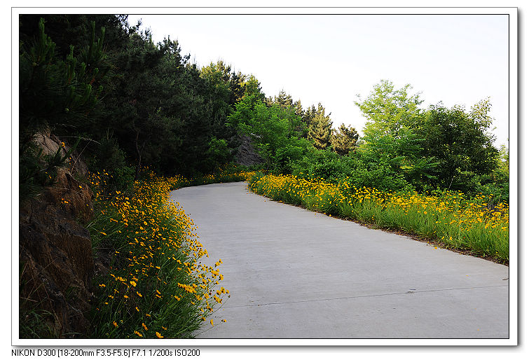 nEO_IMG_照片20090606 102.jpg