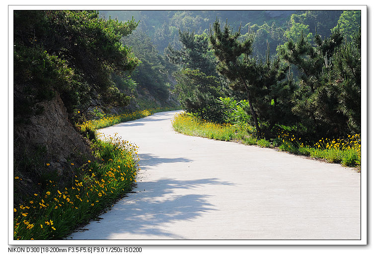 nEO_IMG_照片20090606 100.jpg