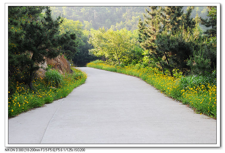 nEO_IMG_照片20090606 084.jpg