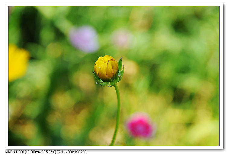nEO_IMG_照片20090606 141.jpg
