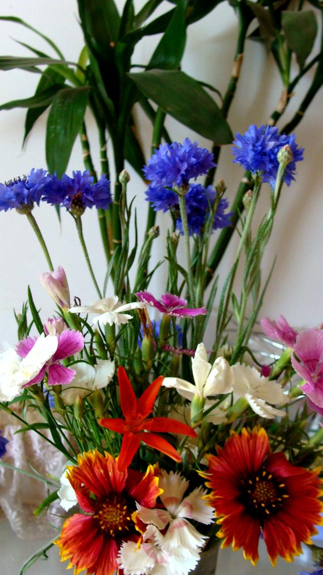 DSC09306.jpg
