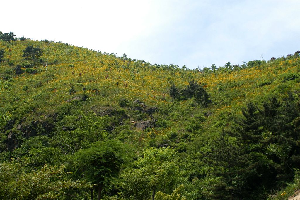 DSC_5414.JPG