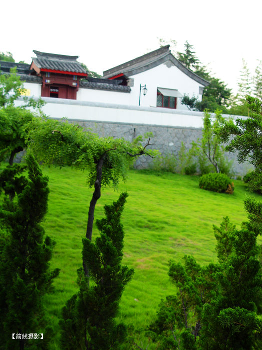 DSC03328-1.jpg