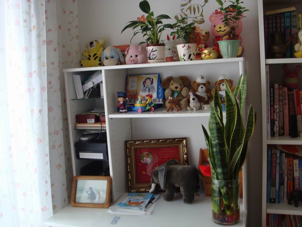 调整大小 DSC08088.JPG
