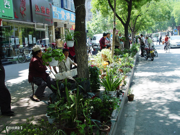 DSC03342-1.jpg