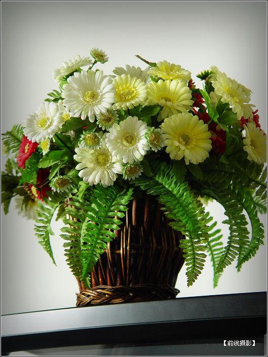 DSC03569-1.jpg