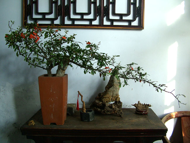 DSCF6411.jpg