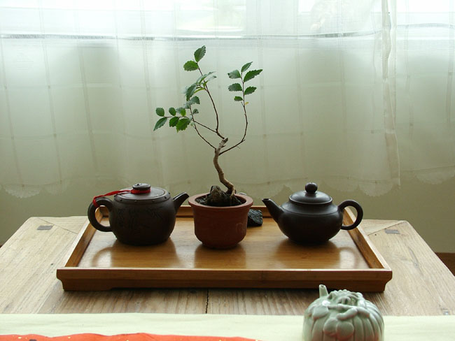 DSCF3173.JPG