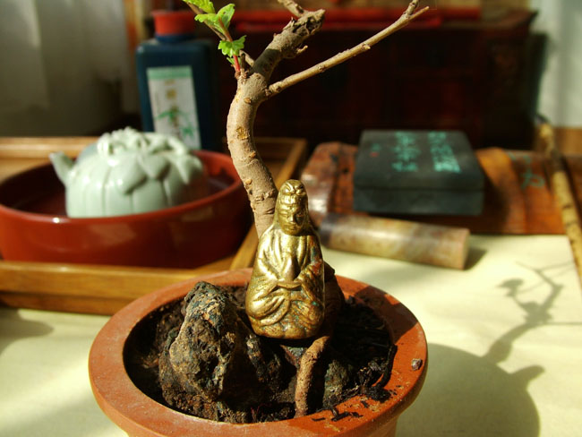 DSCF6600.JPG