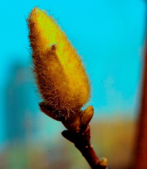 DSC_0260.JPG