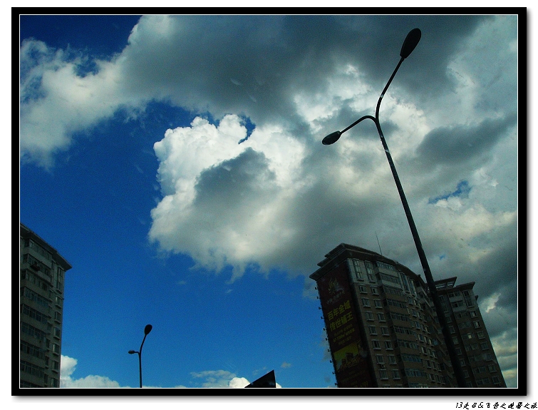 P1190933.jpg