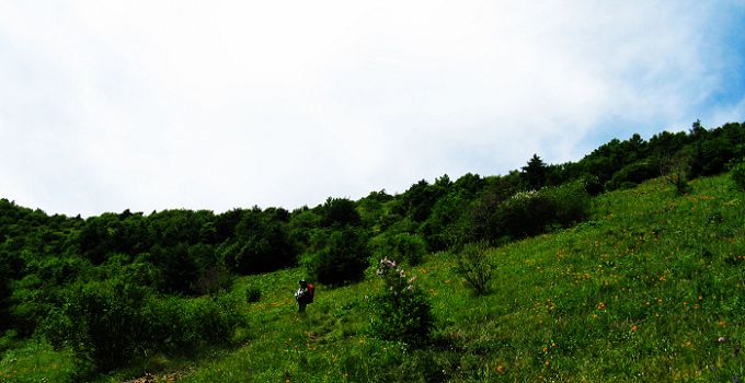 照片 095.jpg