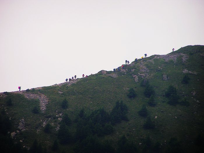 376.jpg