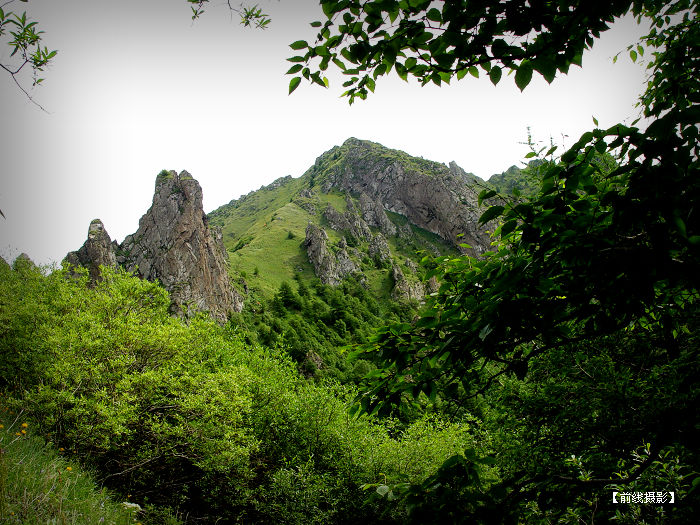 DSC03845-1.jpg