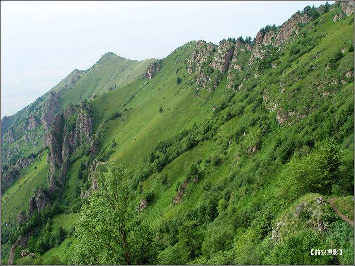 DSC03847-1.jpg