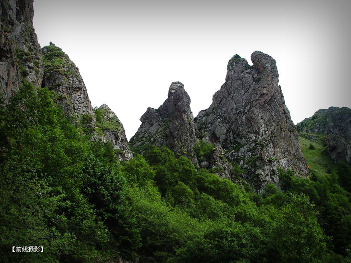 DSC03846-1.jpg