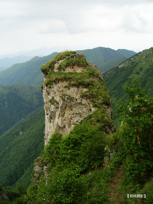 DSC03873-1.jpg