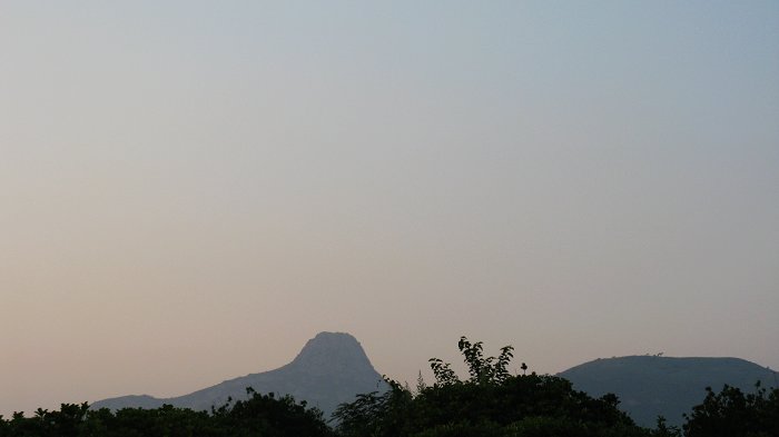 照片 298.jpg