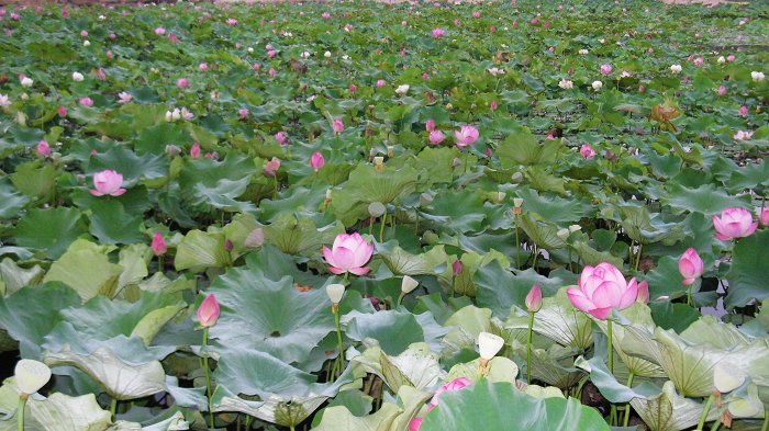 照片 320.jpg