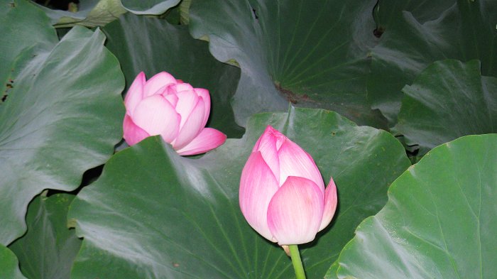 照片 314.jpg