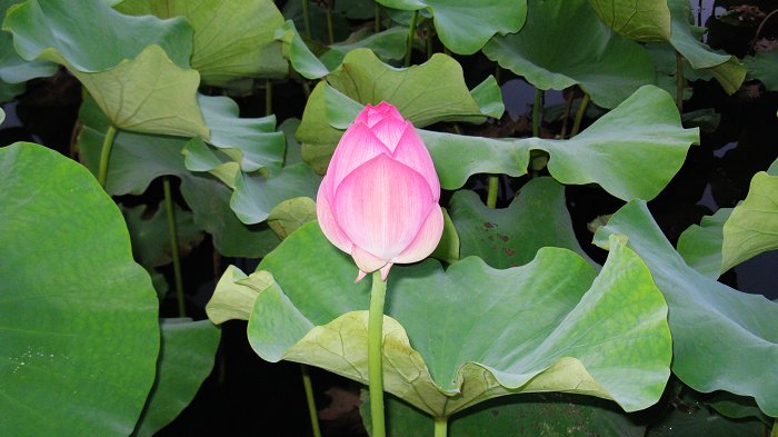 照片 310.jpg
