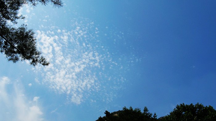 照片 107.jpg