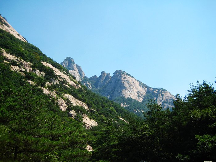 照片 012.jpg