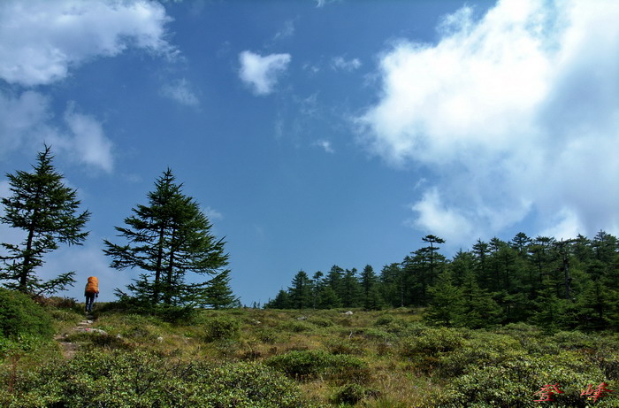 R0011418.jpg