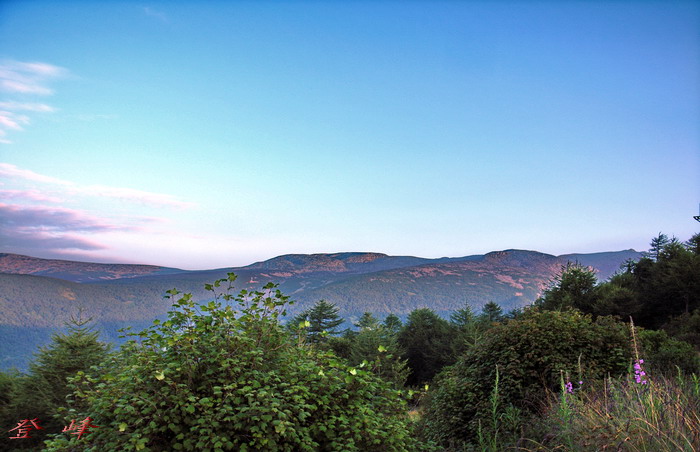R0011393.jpg