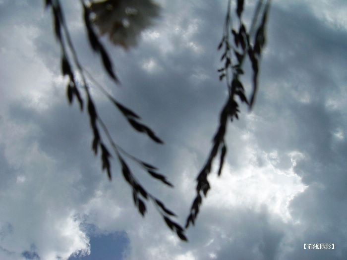 DSC03889-2.jpg