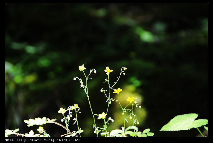 nEO_IMG_照片 410.jpg